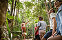 Pamagirri Rainforest Walkabout 