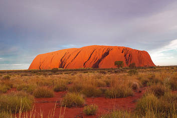 Ayers Rock to Kings Canyon Transfer (Y23)