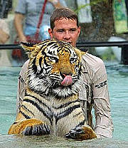 Tiger show at Australia Zoo